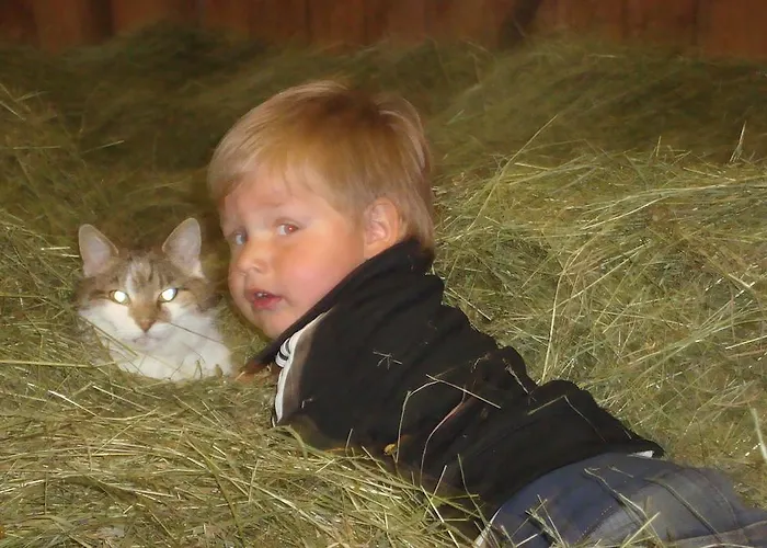 Auerhof Apartamento *