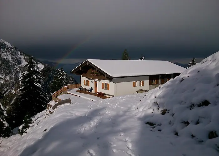 Auerhof والشسي